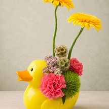 Duck, Duck, Bloom!