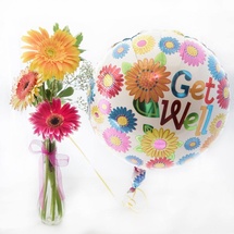 Gerbera Bud Vase and Balloon