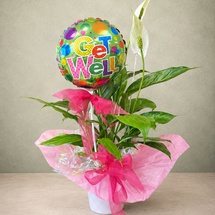 Wellness in Bloom