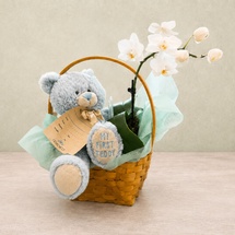 Welcome Baby Basket