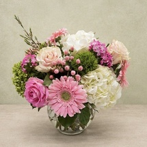 Blush Blooming Arrangements